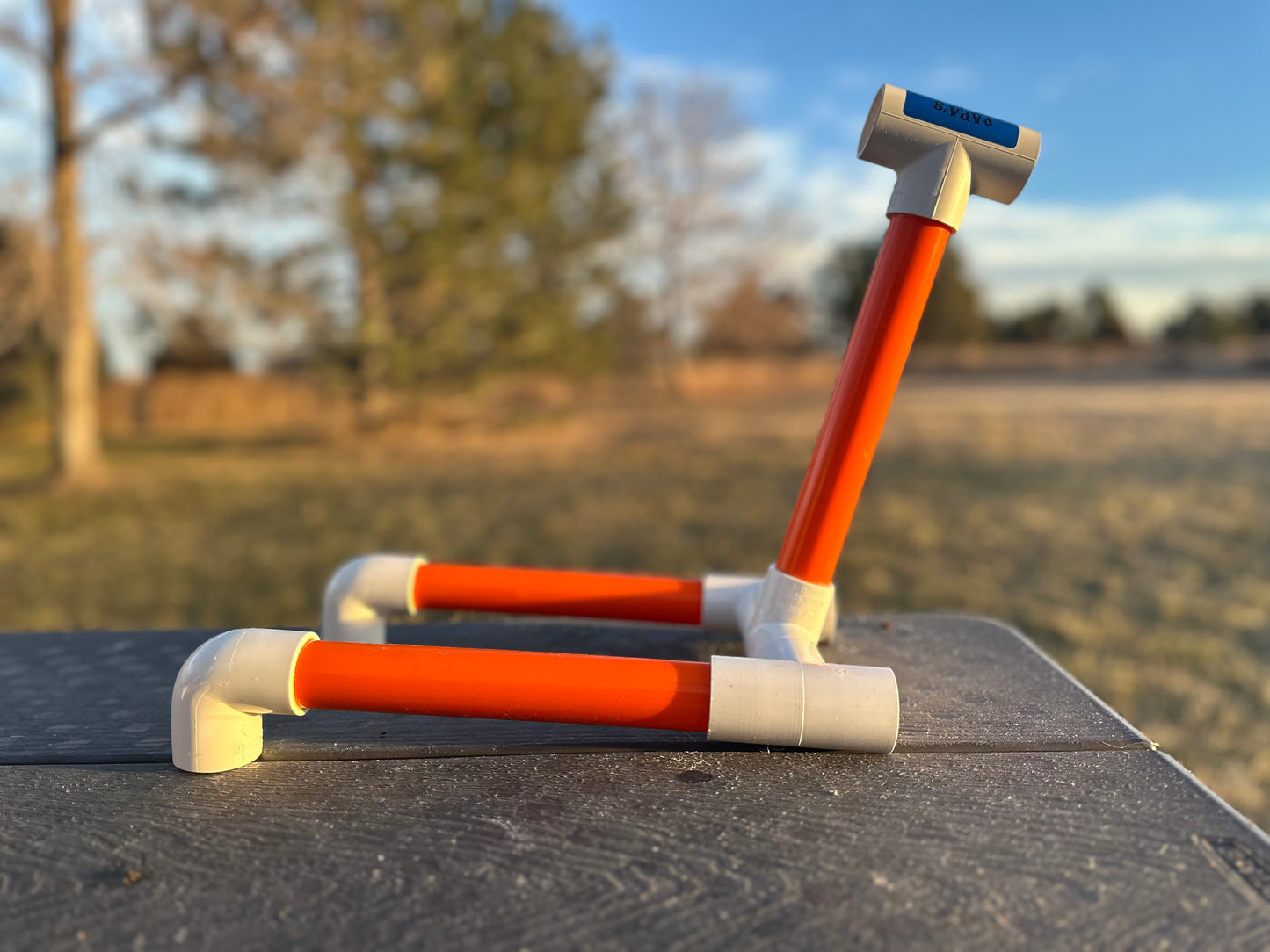 Orange Roughy! SPECIAL! Free Shipping